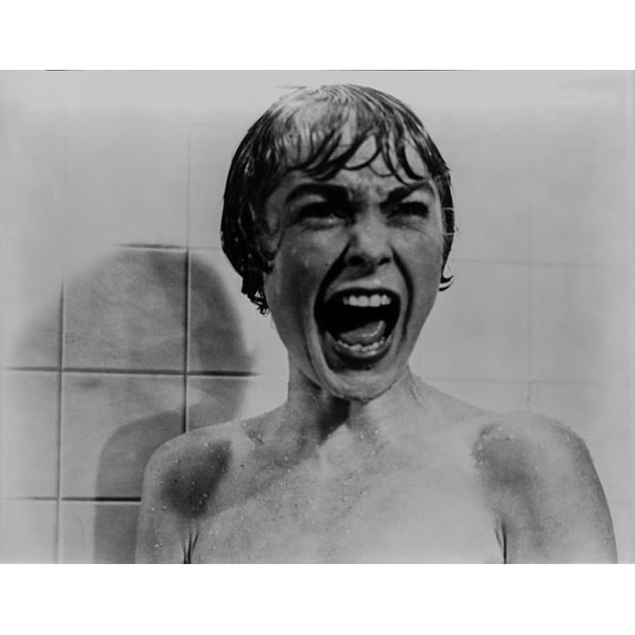 Psycho Scene of Woman Screaming while Taking a Bath Excerpt from Film in Black and White Photo Print (24 x 30)