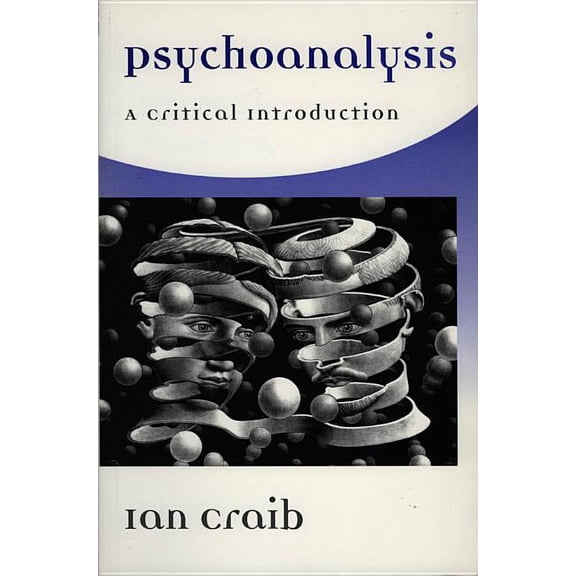 Psychoanalysis: A Critical Introduction (Hardcover)