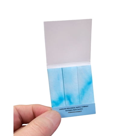 Ptc Paper, Pack Of 100 Strips, Use For Genetic Studies And Science Fair Projects