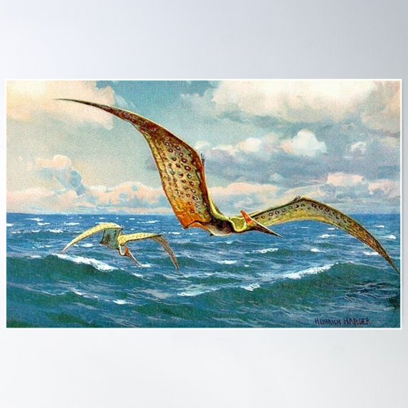 Pteranodon Illustration By Heinrich Harder Poster Wall Art, Modern Wall Decor For Living Room Bedroom, 8x12 UNFRAMED