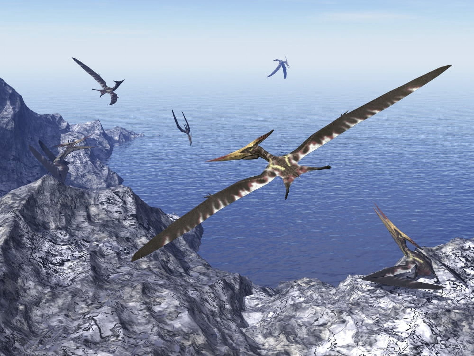 Pteranodon birds flying above coastal rocks on a beautiful day Canvas Art - Elena DuvernayStocktrek Images (33 x 25)