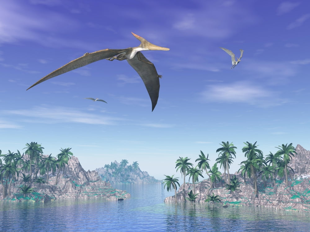 Pteranodon birds flying above islands with palm trees Canvas Art - Elena DuvernayStocktrek Images (17 x 13)