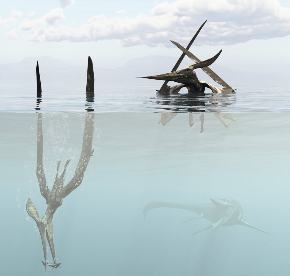Pteranodon pterosaur diving underwater hunting for fish Canvas Art - Arthur DoretyStocktrek Images (29 x 27)