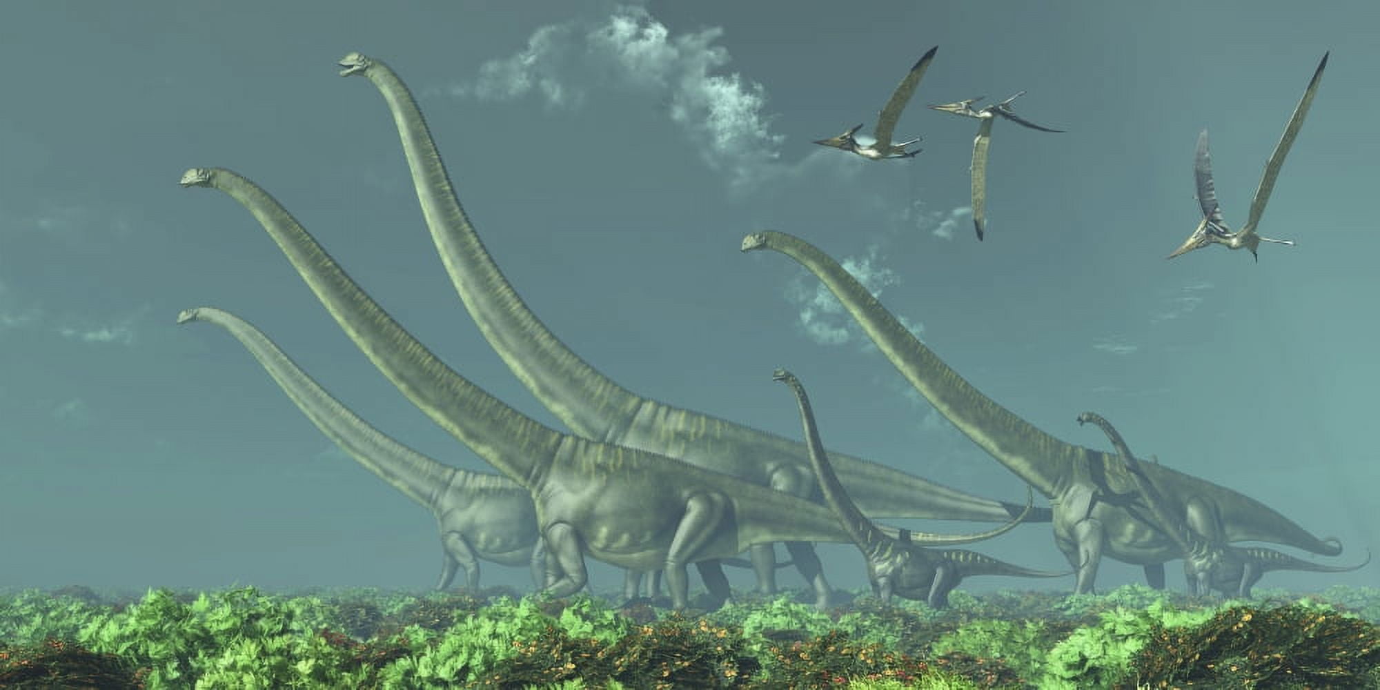 Pteranodon reptiles fly over a herd of Mamenchisaurus Canvas Art - Corey FordStocktrek Images (40 x 20)
