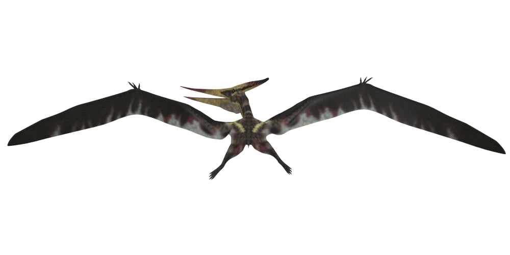 Pteranodon was a pterosaur from the Cretaceous Period of North America Canvas Art - Corey FordStocktrek Images (40 x 20)