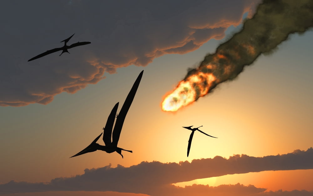 Pteranodons in flight unaware of the danger that a crashing asteroid is about to bring Canvas Art - Mark StevensonStocktrek Images (36 x 23)