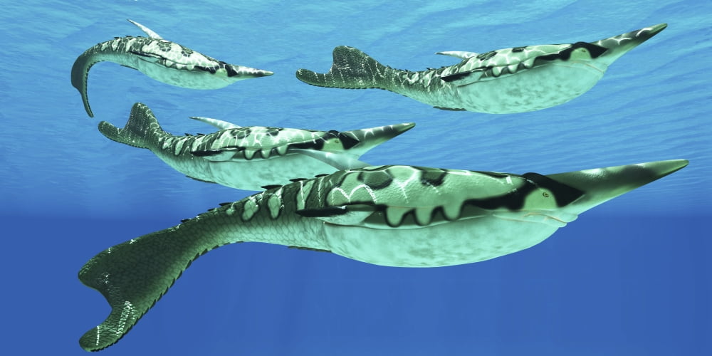 Pteraspis is an extinct genus of jawless ocean fish that lived in the Devonian period Canvas Art - Corey FordStocktrek Images (20 x 10)