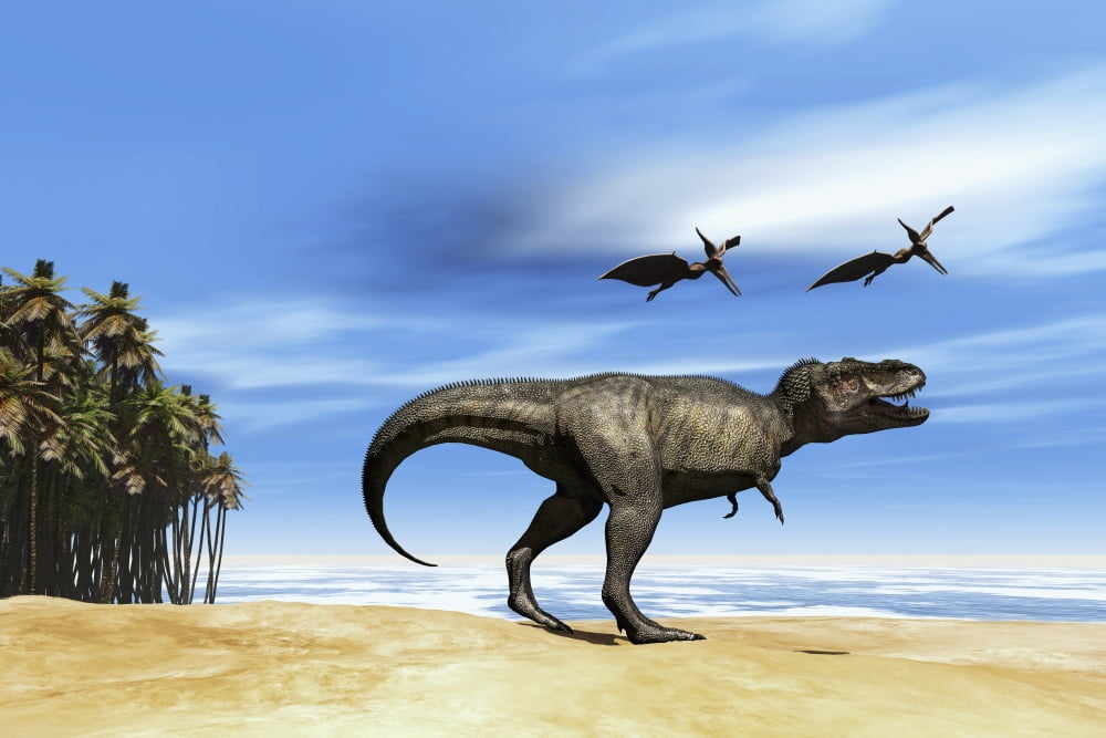 Pterodactyls fly over a beastly Tyrannosaurus Rex Canvas Art - Corey FordStocktrek Images (18 x 12)