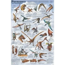 Pterosaurs Educational Poster 24x36