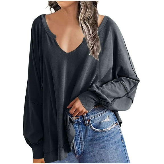 PuLe Long Sleeve Shirts for Women Womens Blouses Fashion 2024 Smocked Long Sleeve V Neck Casual Chiffon Shirts Tops