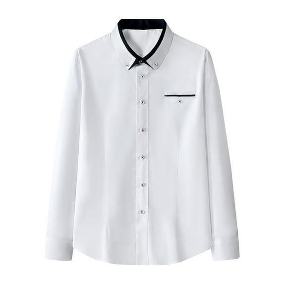 PuLe Rugby Shirt Men's Button Down Shirt 2024 Casual Men Autumn Winter Single Breasted Casual Lapel Beach Long Sleeve Vacation