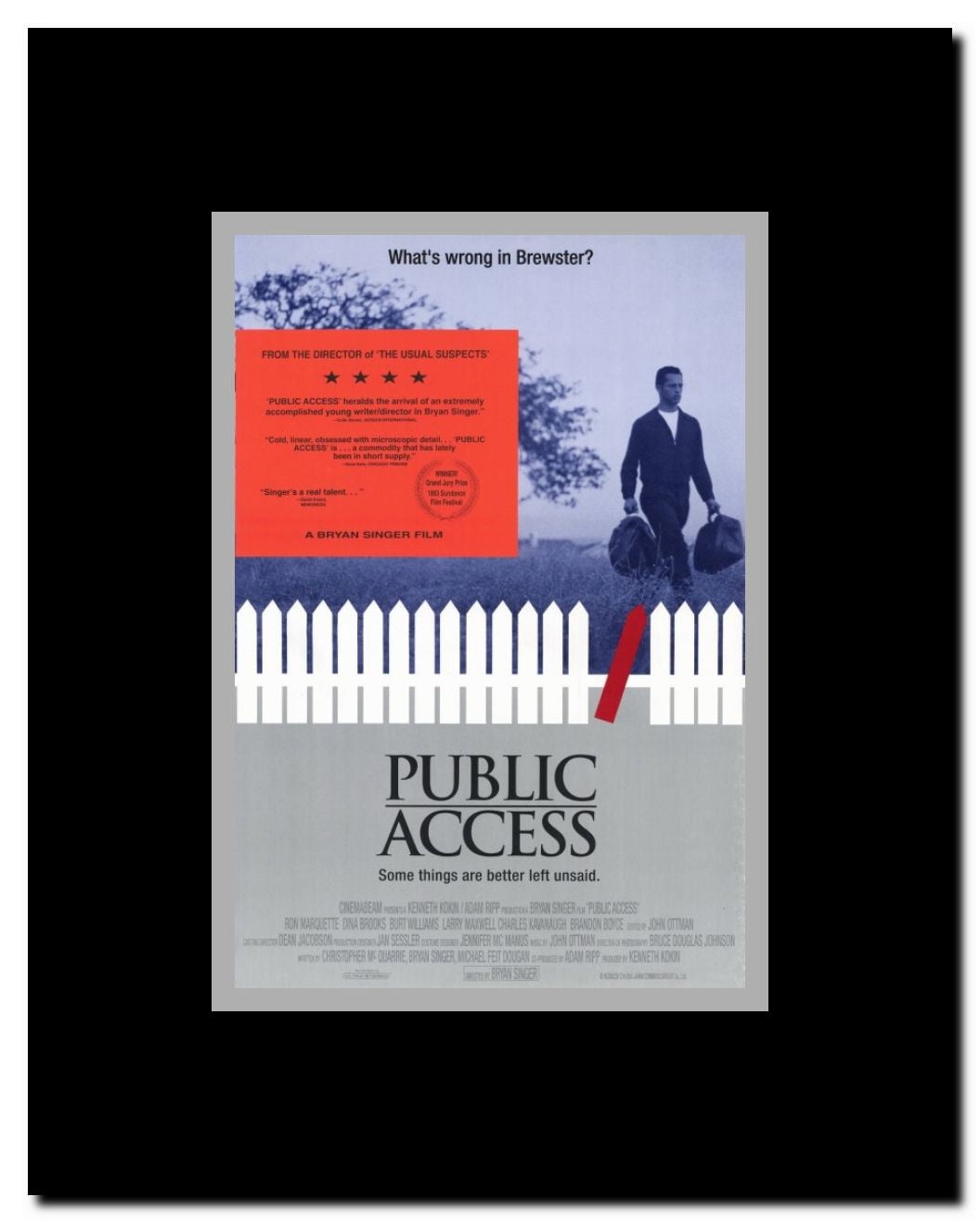 Public Access Framed Movie Poster