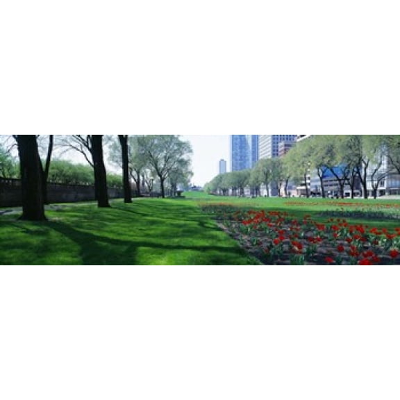 Public Gardens Loop Cityscape Grant Park Chicago Illinois USA Canvas Art - Panoramic Images (36 x 12)