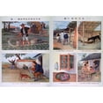 thumbnail image 1 of Public Health Education In Red China. Two Posters Contrast Bad Hygiene History (36 x 24), 1 of 2