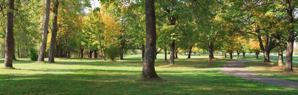 Public park in Autumn colors Gresham Multnomah County Oregon USA Canvas Art - Panoramic Images (36 x 12)