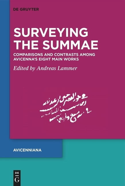 Publications of the Avicenna Study Group Surveying the Summae: Comparisons and Contrasts Among Avicenna's Eight Main Works (Proceedings of the Third Meeting of t, (Hardcover)