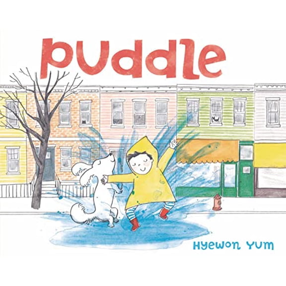 Pre-Owned Puddle (Hardcover) 0374316953 9780374316952