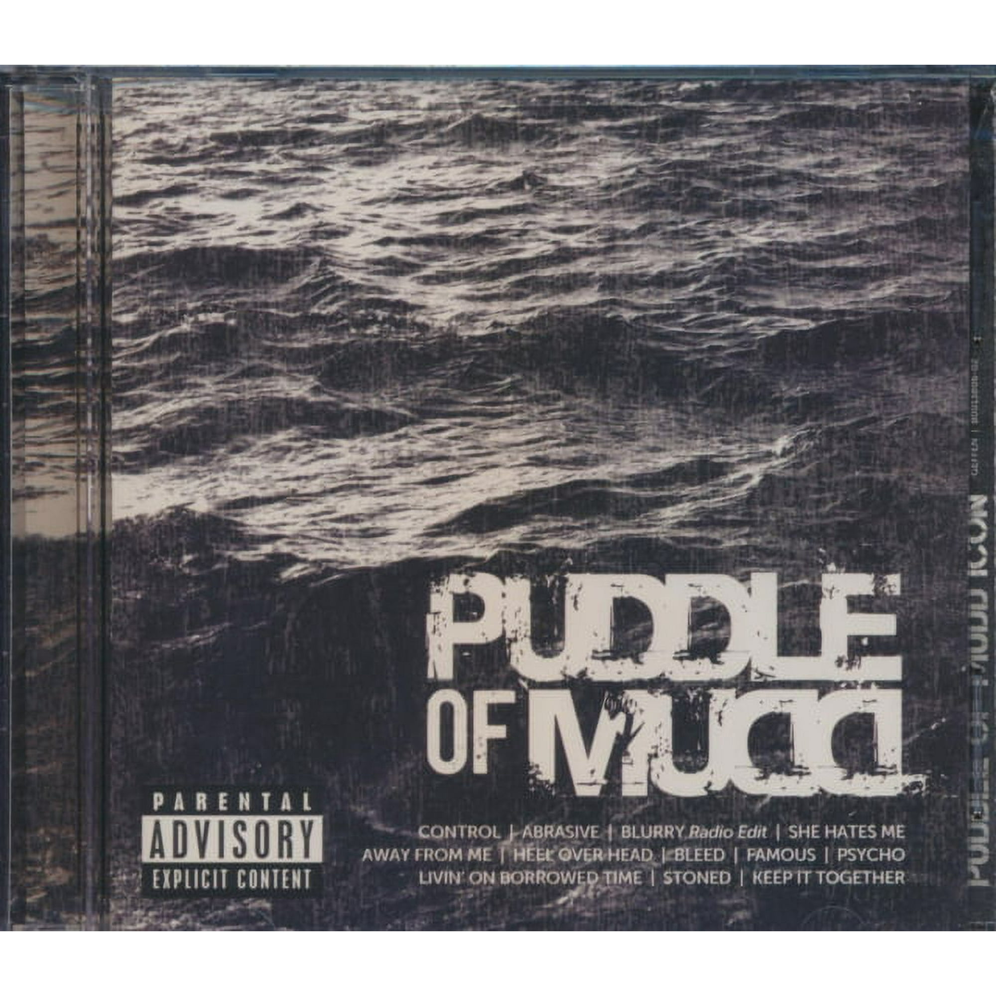 puddle of mudd blurry