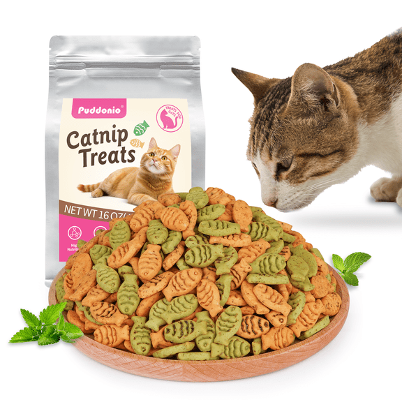 Puddonio Catnip Biscuit Chicken & Salmon Flavor Cat Treats, 16 oz