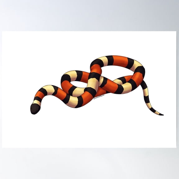 Pueblan Milk Snake Poster Wall Art, Modern Wall Decor For Living Room Bedroom, 24x36 UNFRAMED