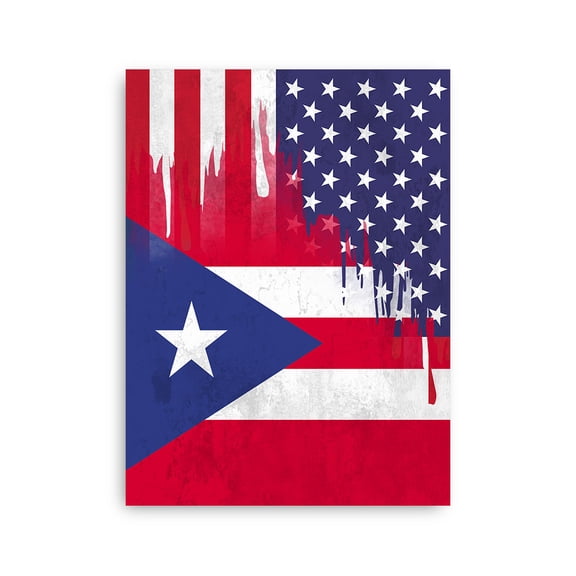 Puerto Rican American Flag Wall Art Friendship USA Puerto Rico Roots Poster - 16x24 Inch Unframed