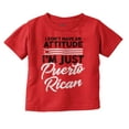 thumbnail image 1 of Puerto Rican PR Pride Se Levanta Toddler Boy Girl T Shirt Infant Toddler Brisco Brands 12M, 1 of 6