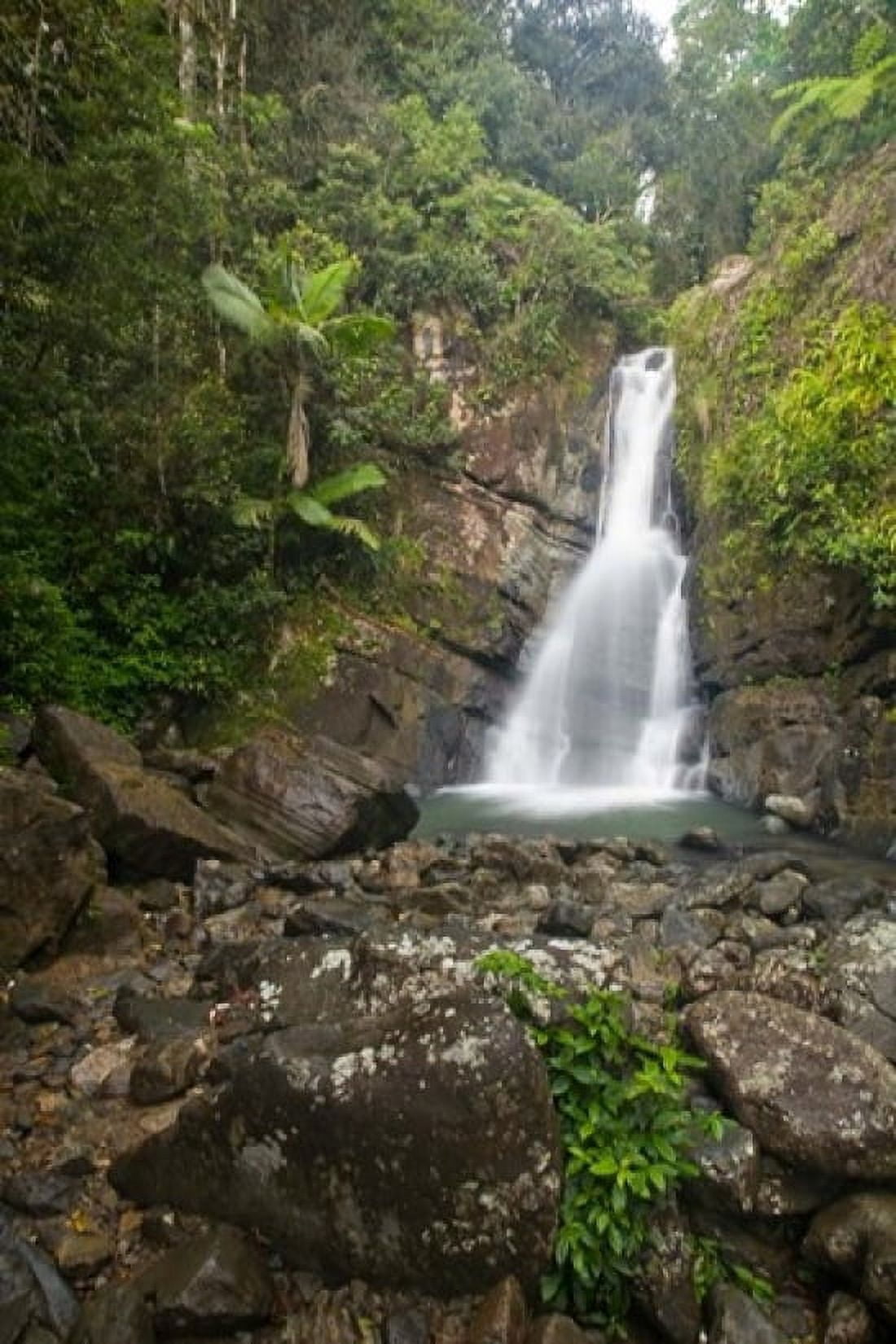 Puerto Rico El Yunque La Mina Waterfalls Canvas Art - John & Lisa Merrill DanitaDelimont (24 x 36)