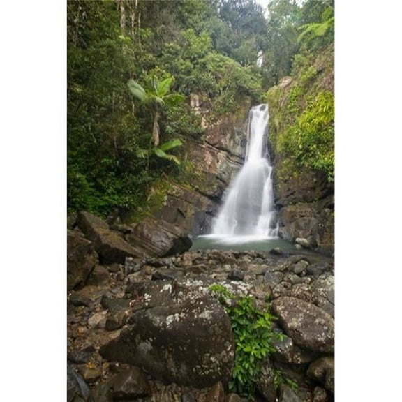 Puerto Rico El Yunque La Mina Waterfalls Poster Print by John and Lisa Merrill (18 x 26)