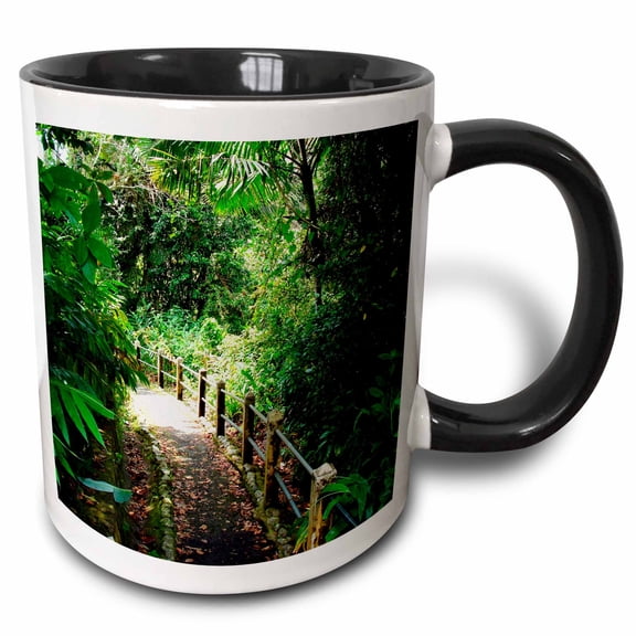3drose, Puerto Rico, Luquillo, El Yunque National Forest Path - Ca27 Mgl0030 - Miva Stock, 11oz Two-tone Black Mug