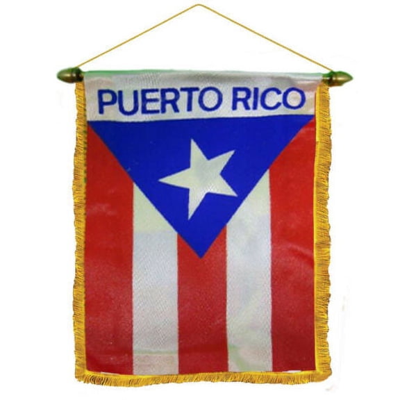 Puerto Rico Man Double Sided Mini Flag 4"x6" Window Banner w/ suction cup