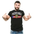 thumbnail image 1 of Puerto Rico National Flag Logo Shirt Puerto Rico Patriotic Shirt Puerto Rican Gifts, 1 of 6