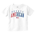 thumbnail image 1 of Puerto Rico Nuyorican USA State Flag Toddler Boy Girl T Shirt Infant Toddler Brisco Brands 4T, 1 of 6