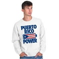thumbnail image 1 of Puerto Rico Power PR Flag Pride Unisex Plus Fleece Graphic Sweatshirt Brisco Brands 5X, 1 of 5