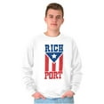 thumbnail image 1 of Puerto Rico Rich Port PR Flag Pride Sweatshirt for Men or Women Brisco Brands S, 1 of 5
