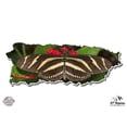 thumbnail image 1 of Puerto Rico Shape Butterfly - 12" Vinyl Sticker Waterproof Decal, 1 of 1