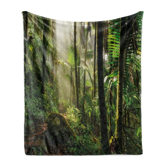Puerto Rico Soft Flannel Fleece Throw Blanket, Jungle Path Through the El Yunque National Forest, Cozy Plush for Indoor and Outdoor Use, 50" x 60", Green Dark Green, by Ambesonne