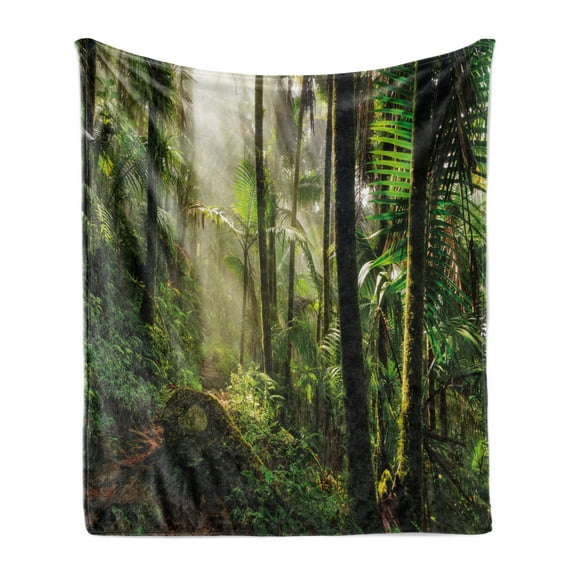 Puerto Rico Soft Flannel Fleece Throw Blanket, Jungle Path Through the El Yunque National Forest, Cozy Plush for Indoor and Outdoor Use, 60" x 80", Green Dark Green, by Ambesonne