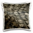 thumbnail image 1 of 3dRose, Puerto Rico, Taino peoples ceremonial site, path-CA27 WBI0227 - Walter Bibikow, 16x16 inch Pillow Case, 1 of 1