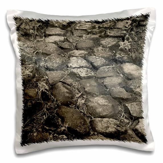 3dRose, Puerto Rico, Taino peoples ceremonial site, path-CA27 WBI0227 - Walter Bibikow, 16x16 inch Pillow Case