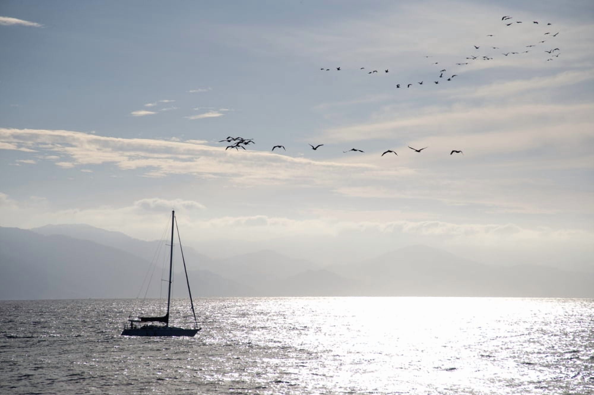 Puerto Vallarta Mexico Sailboat With Birds Flying Overhead Canvas Art - Keith Levit Design Pics (19 x 12)