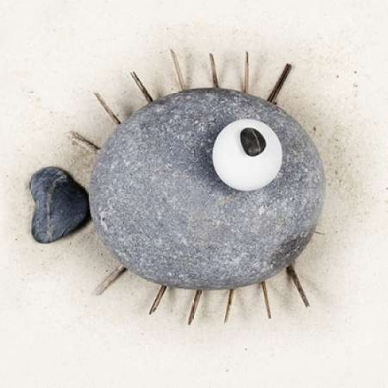 Puffafish Canvas Art - Ian Winstanley (24 x 24)