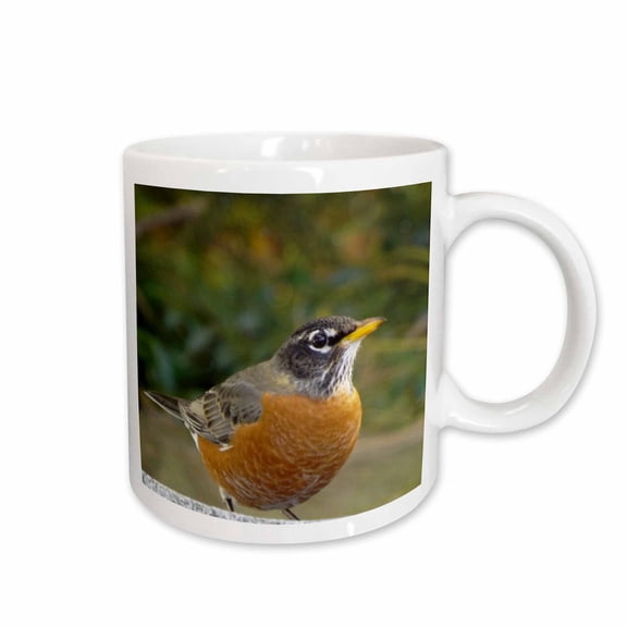3drose, Puffed up Robin, 15oz Mug