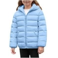 thumbnail image 1 of Puffer Jacket for Girls Boys Lightweight Hooded Down Coat with Pockets Solid Full Zip Up Outerwear Winter Clothes (4 Years, Sky Blue), 1 of 7