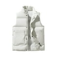 thumbnail image 1 of Puffer Vest Men Quilted Waterproof Windproof Down Vest Full Zipper Sleeveless Jacket with Pockets Winter Warm Puffy Casual Lightweight Streetwear for Travel Running Outdoor,Beige L, 1 of 3