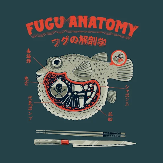 Pufferfish Anatomy