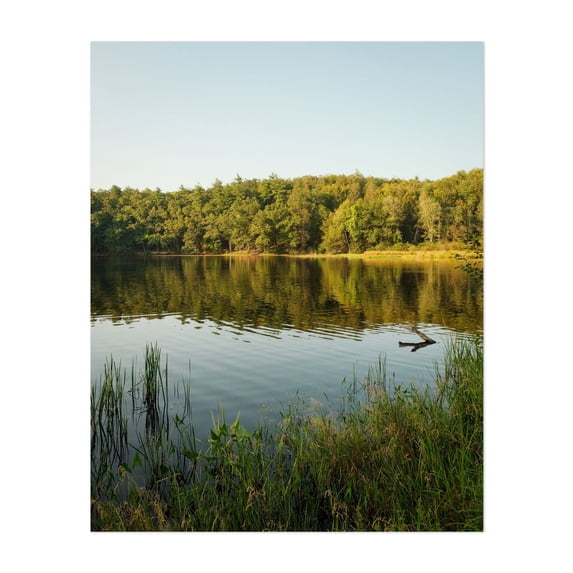 Puffers Pond, Amherst - Amherst Massachusetts Photography Lake Nature Forest Scenic Wilderness Woodland Calm Unframed Wall Art Print 16 x 20 inches