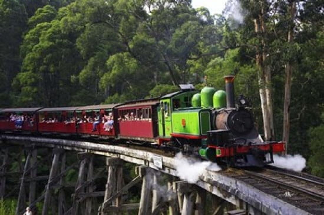 Puffing Billy Steam Train Dandenong Ranges near Melbourne Victoria Australia Canvas Art - David Wall DanitaDelimont (26 x 17)