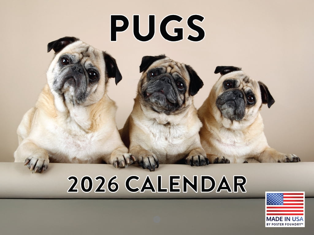 Pug Calendar 2026 Monthly Wall Calender 12 Month | American Made In The ...