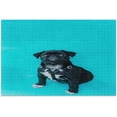 thumbnail image 1 of Pug Dog Look Jigsaw Puzzle 500 Pieces Wooden Jigsaw Puzzles for Adults, Fun Challenging Brain Exercise Family Game Creative Gift for Friends Parents Grandparents, 1 of 7