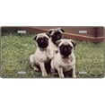 thumbnail image 1 of Pug Dog Pet Novelty License Plates- Full Color Photography License Plates, 1 of 1
